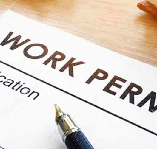Everything You Need to Know about Mauritius Work Permit